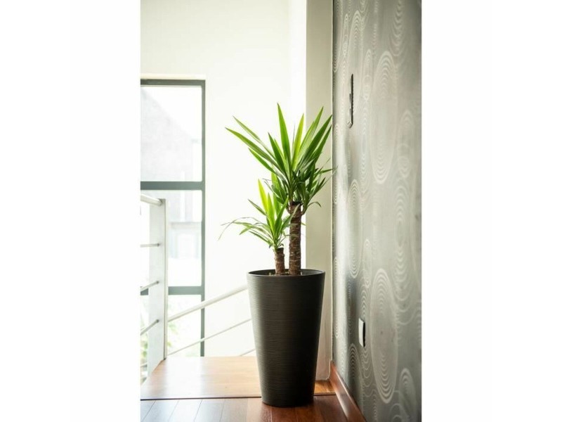 Саксия Garden ID NaN –  BB Саксии