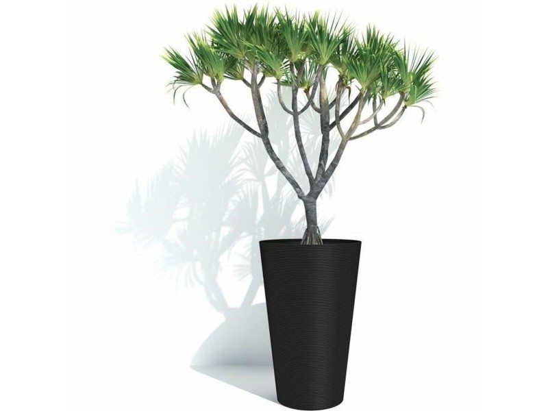 Саксия Garden ID NaN –  BB Саксии