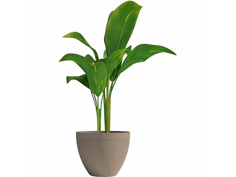 Саксия Garden ID NaN –  BB Саксии