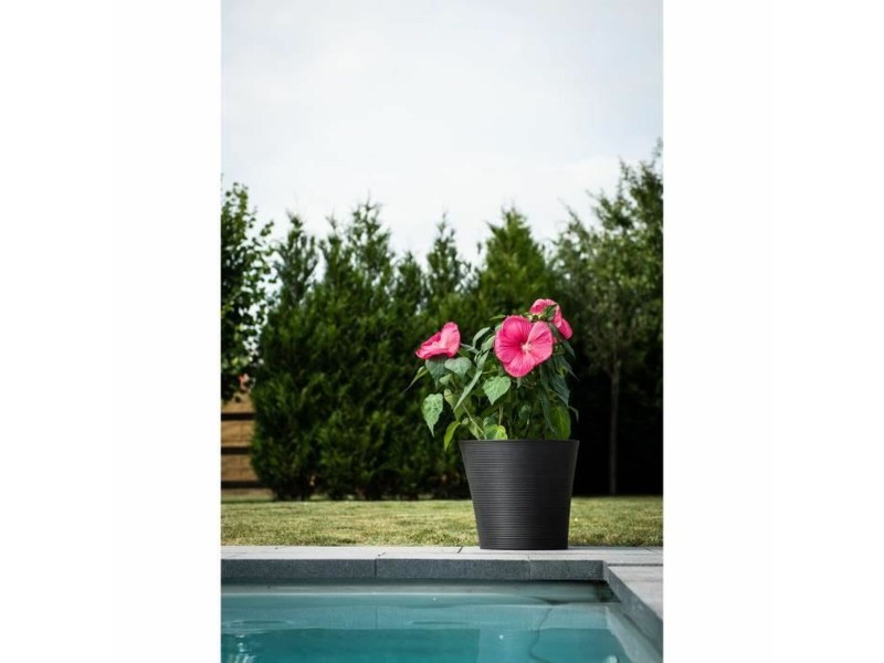 Саксия Garden ID NaN –  BB Саксии