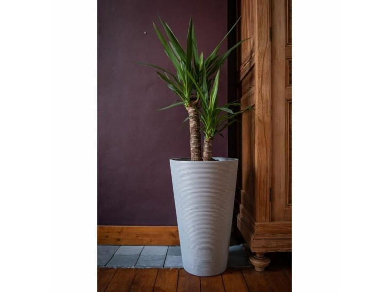 Саксия Garden ID NaN –  BB Саксии