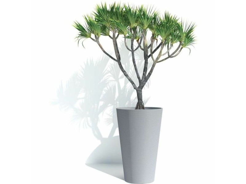 Саксия Garden ID NaN –  BB Саксии