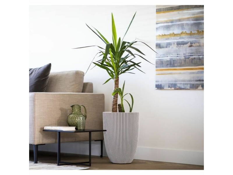 Саксия Capi Europe Пластмаса Кръгъл NaN –  BB Саксии