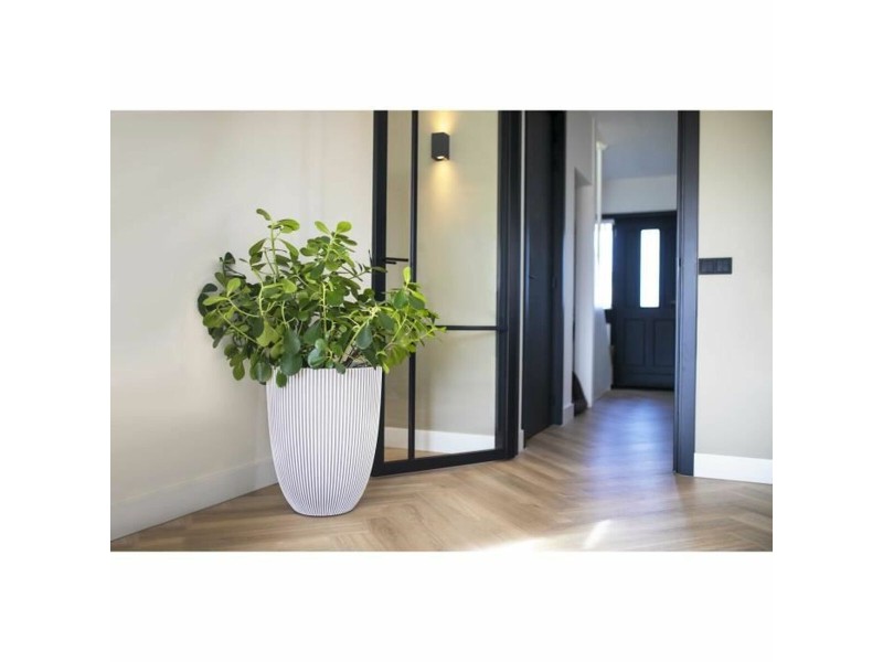 Саксия Capi Europe Пластмаса Кръгъл NaN –  BB Саксии