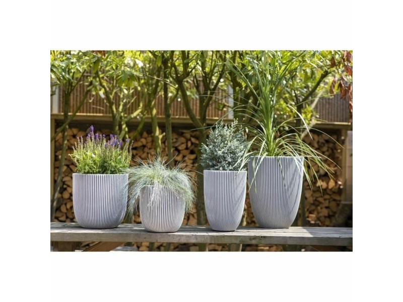 Саксия Capi Europe Бежов Пластмаса Кръгъл Ø 43 cm NaN –  BB Саксии