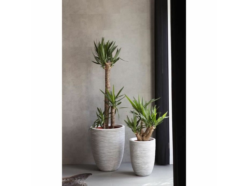 Саксия Capi Europe Слонова кост Пластмаса Кръгъл NaN –  BB Саксии