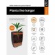 Саксия Capi Europe Nature Rib Антрацит Пластмаса NaN –  BB Саксии