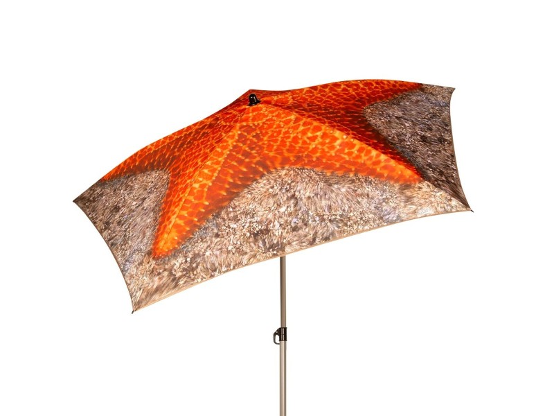 Чадър Aktive 180 x 210 x 180 cm 180 x 215 x 180 cm (6 броя) NaN –  BB Чадъри
