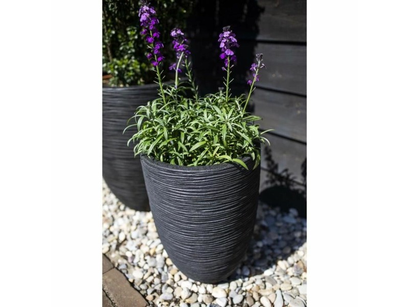 Саксия Capi Europe Черен Пластмаса Кръгъл 34 x 34 x 46 cm NaN –  BB Саксии