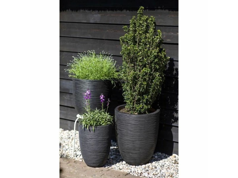 Саксия Capi Europe Черен Пластмаса Кръгъл 34 x 34 x 46 cm NaN –  BB Саксии