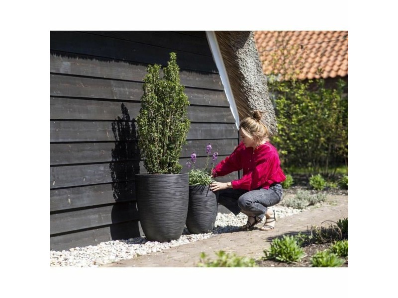 Саксия Capi Europe Черен Пластмаса Кръгъл 34 x 34 x 46 cm NaN –  BB Саксии