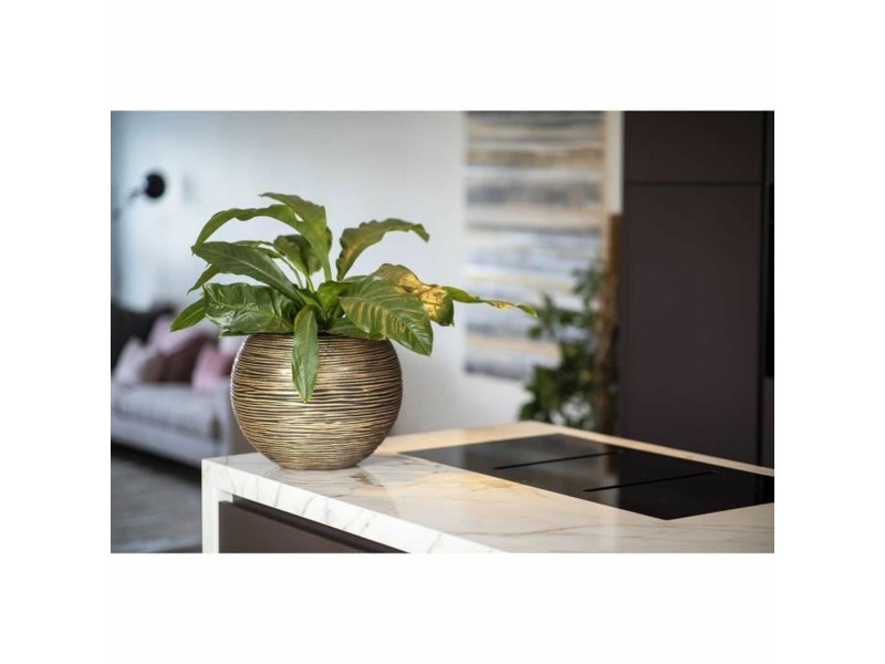 Саксия Capi Europe Златен Пластмаса Кръгъл Ø 40 cm NaN –  BB Саксии