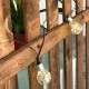 Гирлянда от LED Светлини Lumisky Fantasy Star 3,75 m 10 NaN –  BB Гирлянди за външно осветление