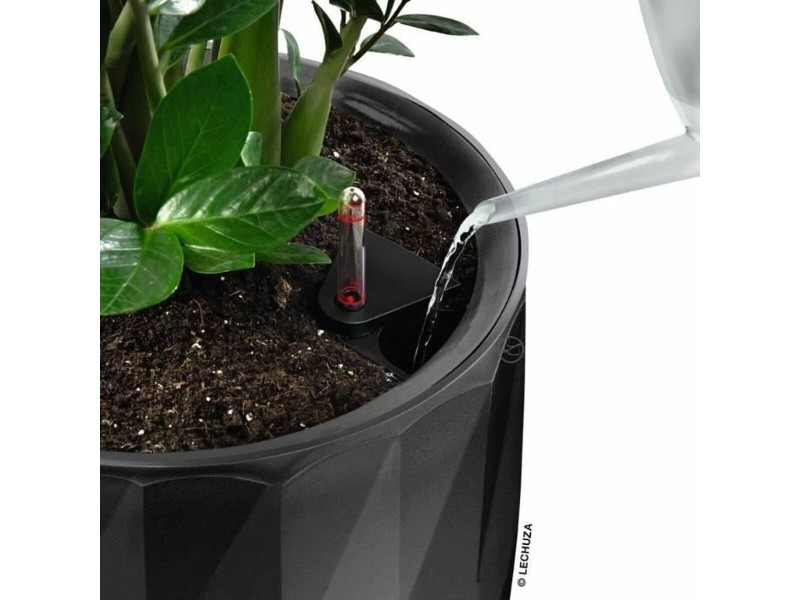 Саксия Lechuza Сив Пластмаса (1 броя) NaN –  BB Саксии