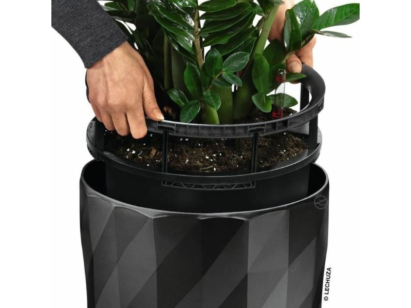 Саксия Lechuza Сив Пластмаса (1 броя) NaN –  BB Саксии