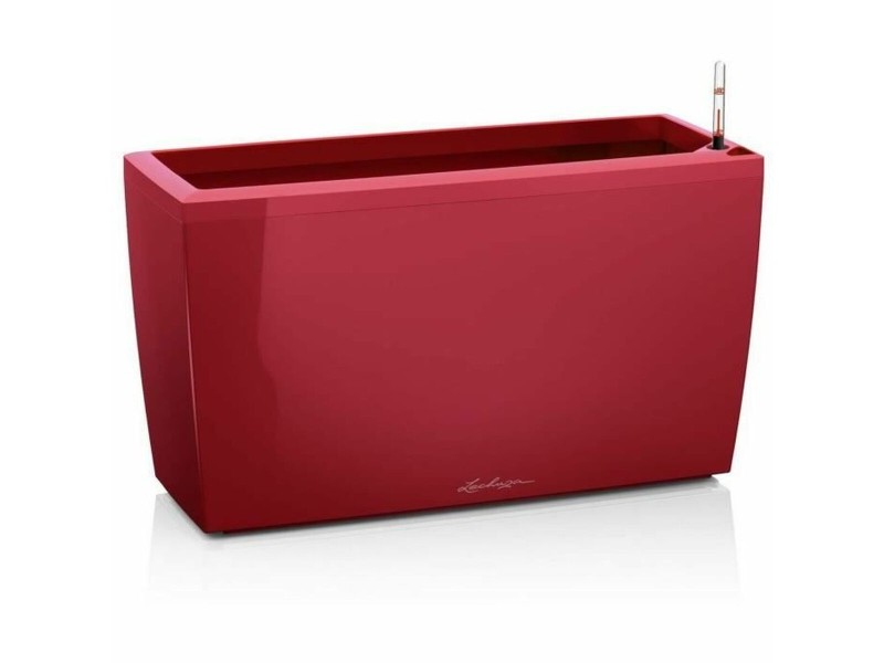 Саксия Lechuza 75 x 30 x 43 cm Пластмаса Квадратен NaN –  BB Саксии
