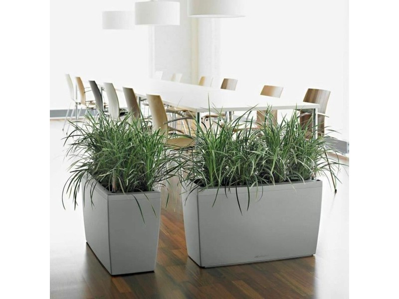 Саксия Lechuza 75 x 30 x 43 cm Пластмаса Квадратен NaN –  BB Саксии