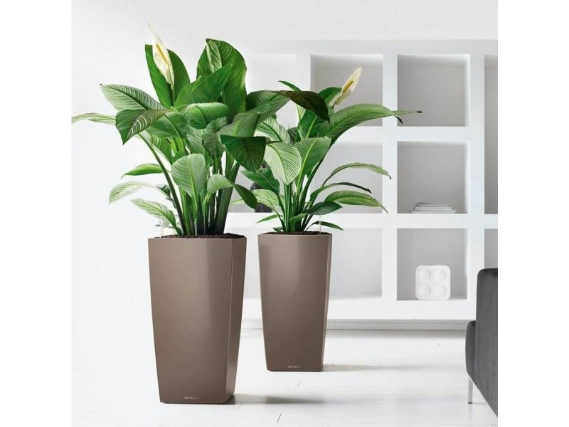 Саксия Lechuza 50 x 50 x 95 cm Квадратен NaN –  BB Саксии