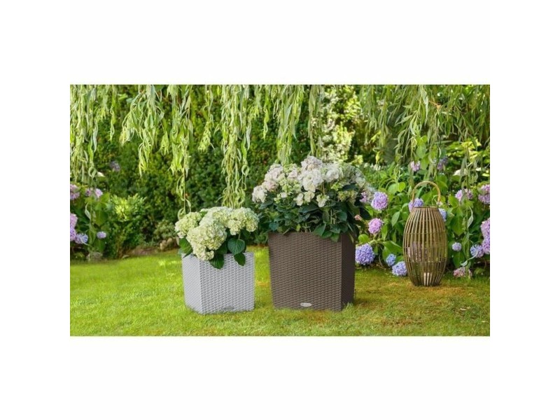 Саксия Lechuza 50 x 50 cm NaN –  BB Саксии