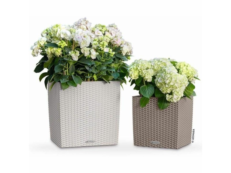 Саксия Lechuza 50 x 50 cm NaN –  BB Саксии