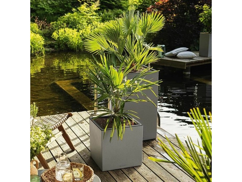 Саксия Lechuza 76 x 40 x 10 cm Сив (1 броя) NaN –  BB Саксии