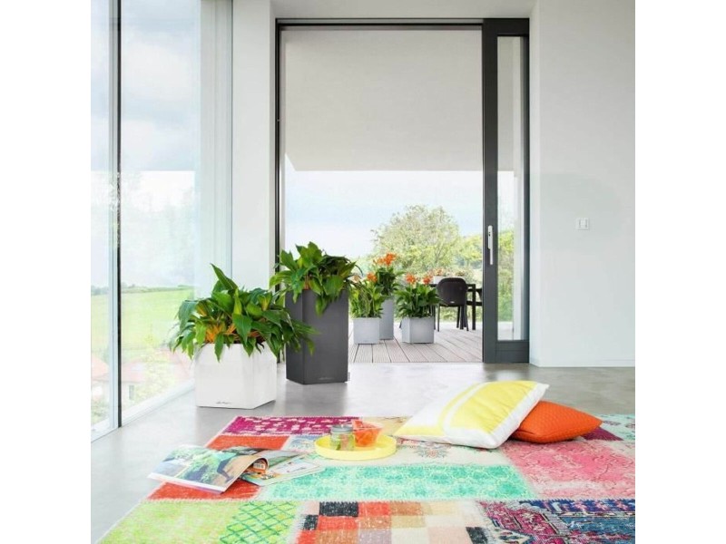 Саксия за самостоятелно поливане Lechuza Антрацит 40 x 40 x 76 cm NaN –  BB Саксии