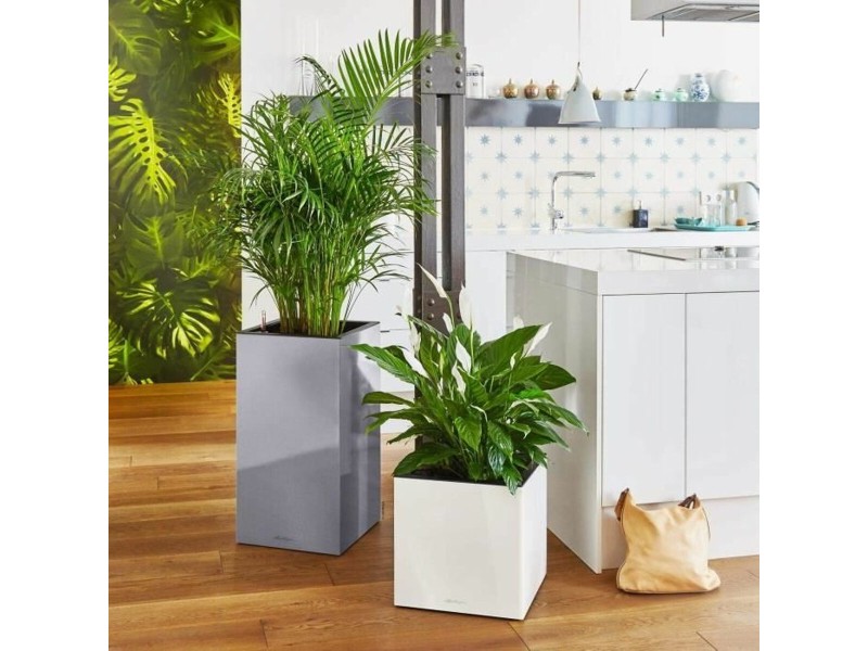 Саксия за самостоятелно поливане Lechuza Антрацит 40 x 40 x 76 cm NaN –  BB Саксии