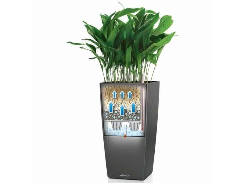 Саксия Lechuza 40 x 40 x 105 cm Пластмаса Квадратен NaN –  BB Саксии