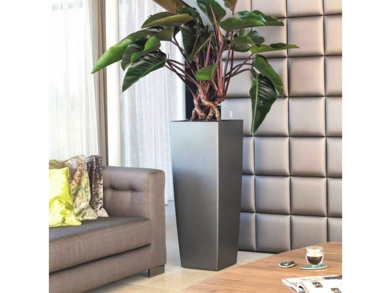 Саксия Lechuza 40 x 40 x 105 cm Пластмаса Квадратен NaN –  BB Саксии