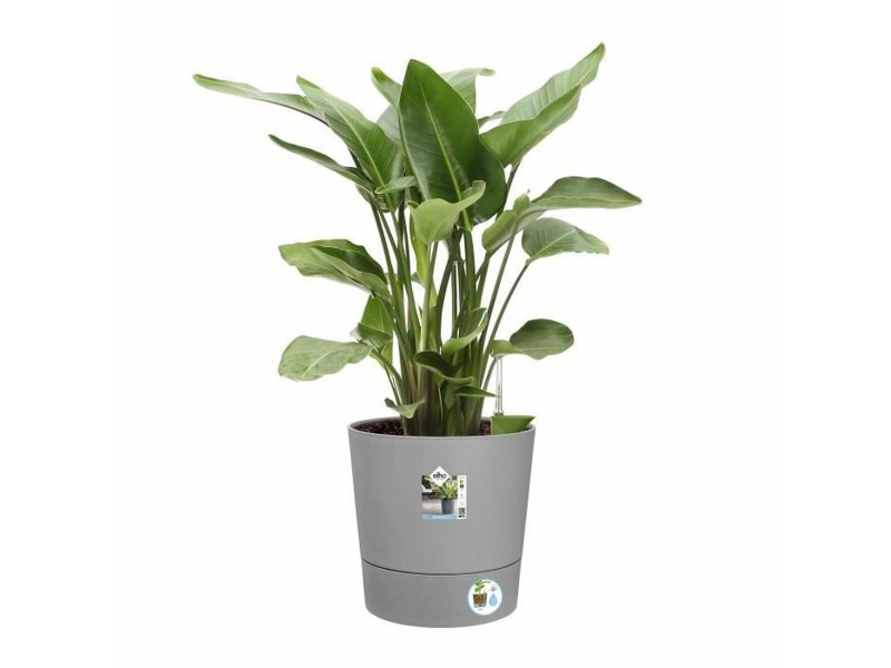 Саксия Elho Сив Ø 43 cm NaN –  BB Саксии