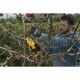 Ножици за подрязване Stephane Domergue 257022001/ST1 SC 100e Bypass NaN –  BB Ножици за подрязване
