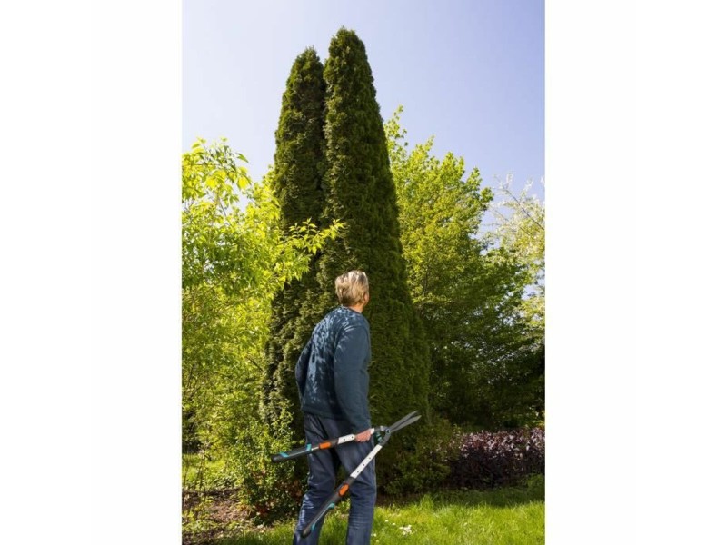 Ножици за подрязване Gardena 25 cm Bypass NaN –  BB Ножици за подрязване