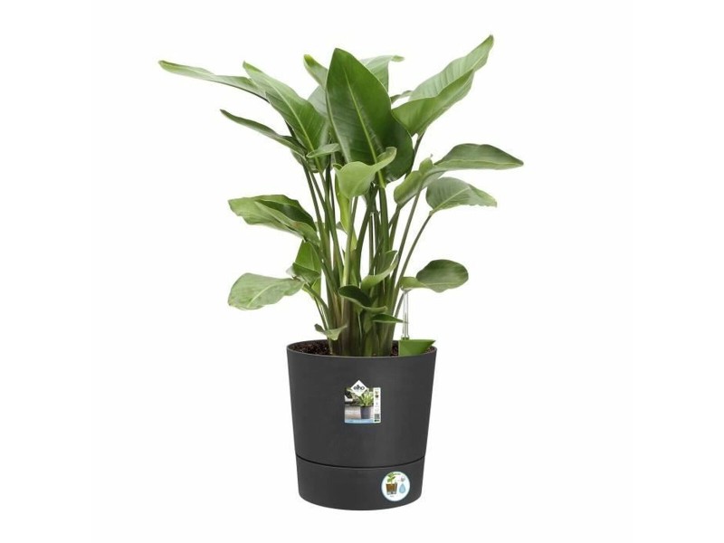 Саксия Elho Пластмаса Кръгъл Модерен NaN –  BB Саксии