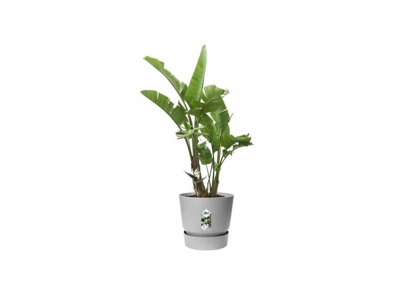 Саксия Elho Сив Пластмаса Кръгъл Модерен Ø 47 cm NaN –  BB Саксии