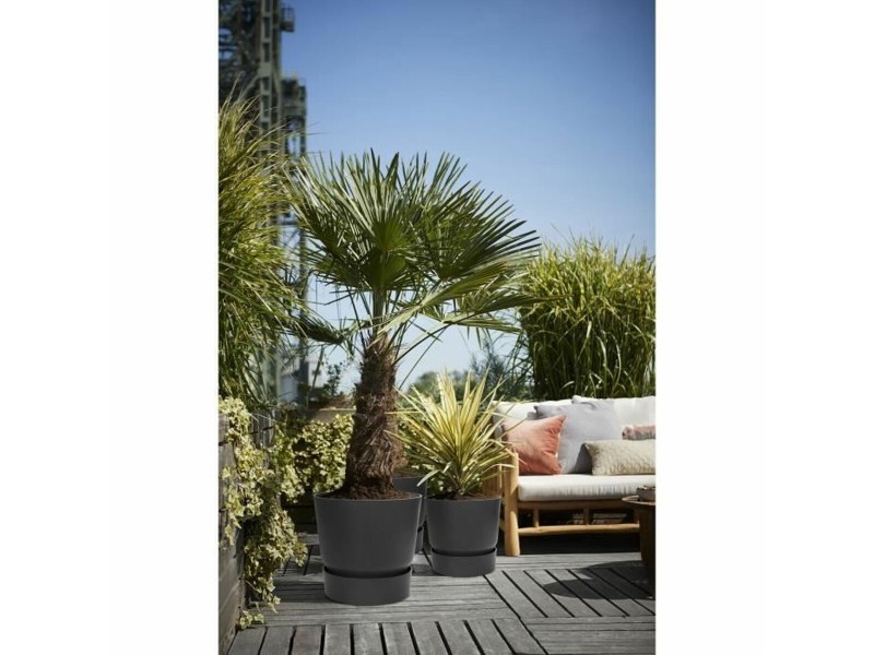 Саксия Elho Черен Пластмаса Кръгъл Модерен Ø 47 cm NaN –  BB Саксии