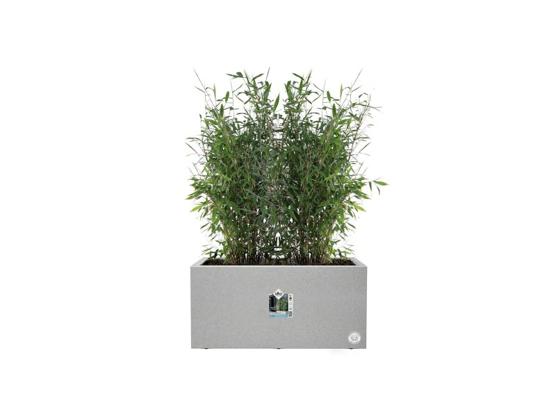 Саксия Elho Бял 59 x 30 x 29 cm Пластмаса Квадратен Модерен NaN –  BB Саксии