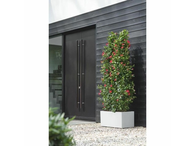 Саксия Elho 59 x 30 x 29 cm Бял Пластмаса Квадратен Модерен NaN –  BB Саксии