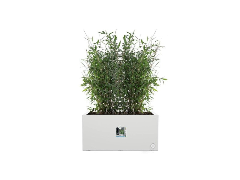 Саксия Elho 59 x 30 x 29 cm Бял Пластмаса Квадратен Модерен NaN –  BB Саксии