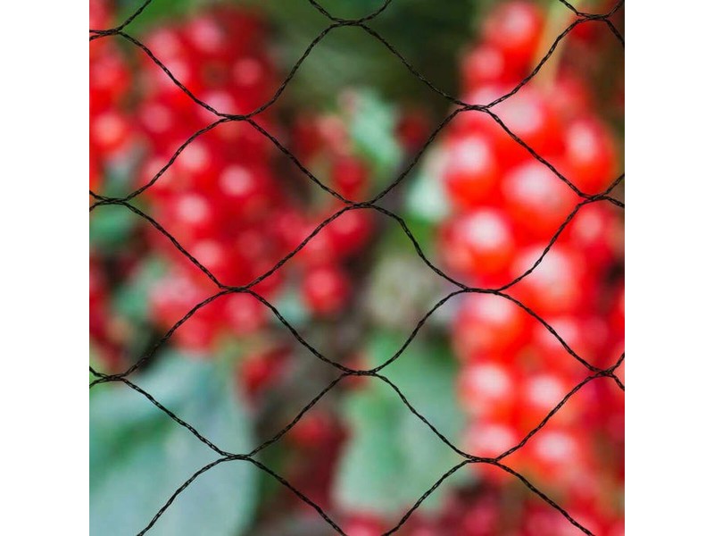 Anti-bird netting Nature Primo Черен полиетилен 10 x 10 m NaN –  BB Чорапогащи