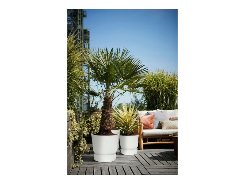 Саксия Elho 0464344715000 Бял Кръгъл NaN –  BB Саксии