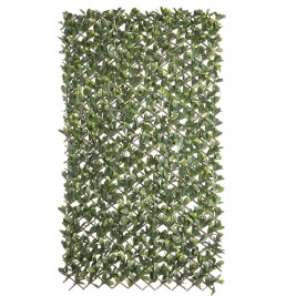 Решетка Natural Laurel плетена ракита Бамбук 2 x 200 x 100 cm