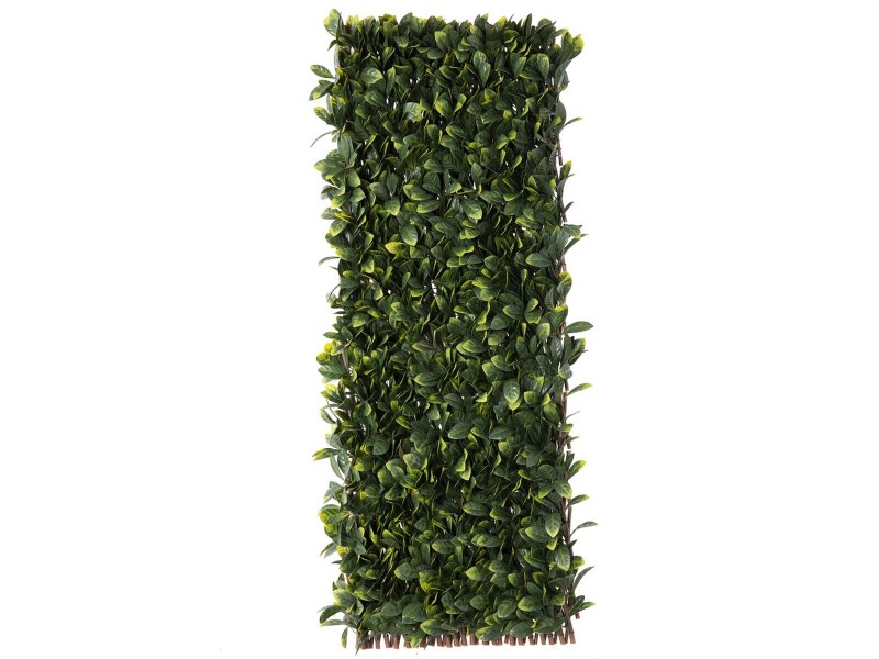 Решетка Natural Laurel плетена ракита Бамбук 2 x 200 x 100 cm NaN –  BB Декоративни огради