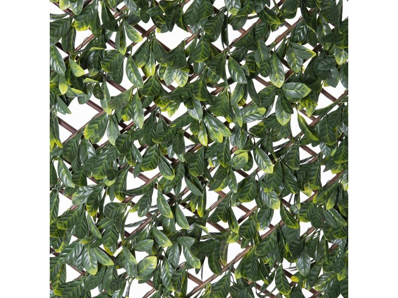 Решетка Natural Laurel плетена ракита Бамбук 2 x 200 x 100 cm NaN –  BB Декоративни огради