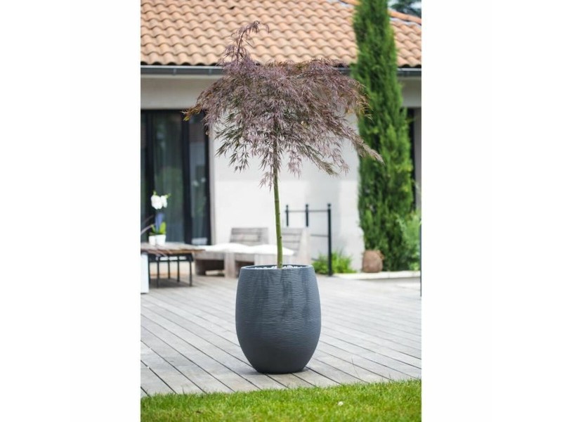 Саксия EDA Антрацит Ø 50 cm NaN –  BB Саксии