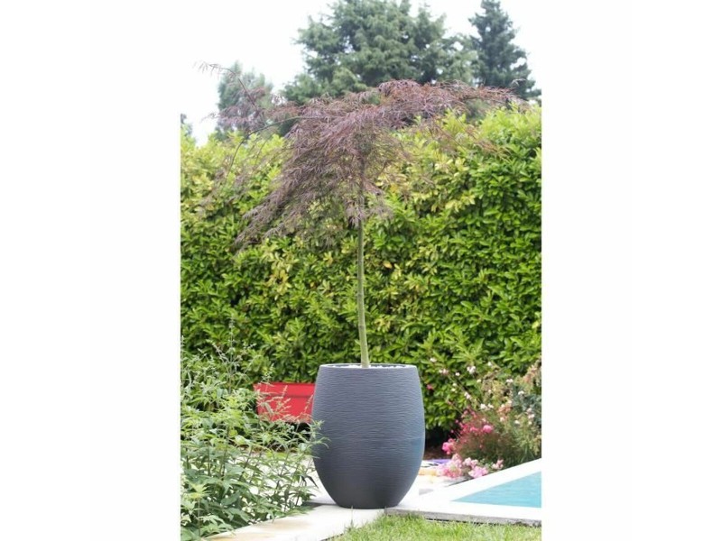 Саксия EDA Антрацит Ø 50 cm NaN –  BB Саксии