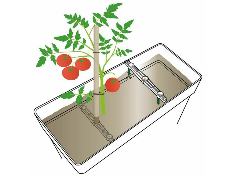 Саксия Deroma Антрацит NaN –  BB Саксии