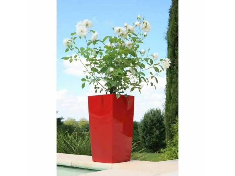 Саксия Riviera Червен Пластмаса Квадратек Кръгъл Модерен 29 x 29 x 52 cm 29 x 29 cm NaN –  BB Саксии