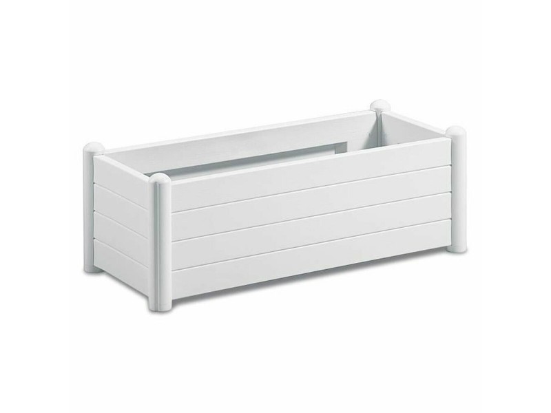 Саксия Бял NaN –  BB Саксии