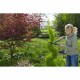 Ножици за резитба с две ръце Gardena Boxwood NaN –  BB Ножици за подрязване с две ръце