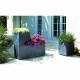 Саксия EDA Антрацит Пластмаса 99 x 39 x 43 cm NaN –  BB Саксии